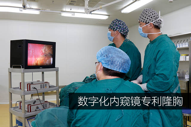 內(nèi)窺鏡德國(guó)vizaar威薩隆胸